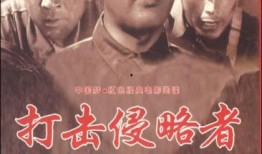 电影打击侵略者在线观看,在线观影，捍卫家园的英勇之战